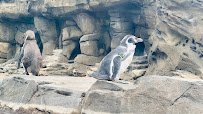 Evansville Zoological Society