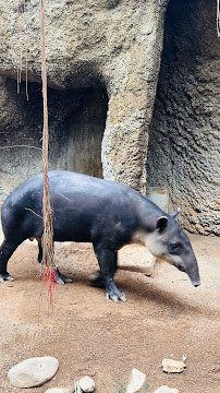Evansville Zoological Society photo 2