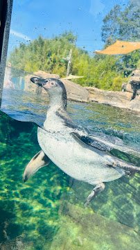 Evansville Zoological Society photo 3