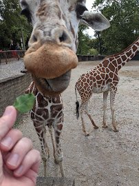 Evansville Zoological Society photo 6