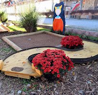 The Wooden Melon's Trough Golf photo 5