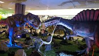 Wonder of Dinosaurs photo 4
