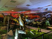 Wonder of Dinosaurs photo 5