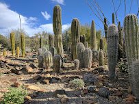 Arizona-Sonora Desert Museum
