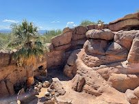 Arizona-Sonora Desert Museum photo 4