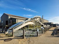 Seymour Marine Discovery Center photo 3