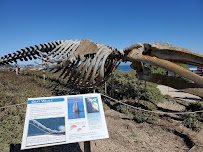 Seymour Marine Discovery Center photo 4