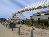 Seymour Marine Discovery Center photo 5