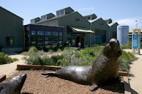 Seymour Marine Discovery Center photo 6