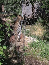 Red Ridge Park and Splash Pad