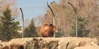 Lighthouse Point Splash Zone at Hogle Zoo photo 5