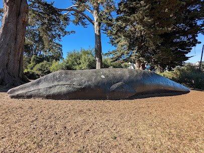 Santa Cruz Museum of Natural History photo 4