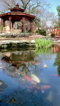 Old Prairie Town at Ward-Meade Historic Site and Botanical Garden photo 2