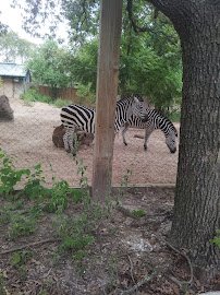 John P. McGovern Children's Zoo photo 6