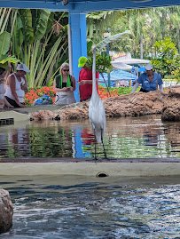 Stingray Lagoon photo 6