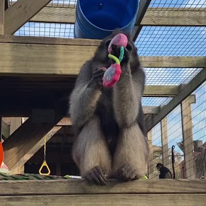 TGR Exotics Wildlife Park photo 2