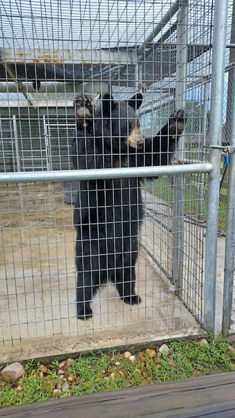 TGR Exotics Wildlife Park photo 4