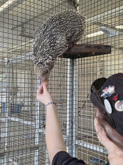 TGR Exotics Wildlife Park photo 6