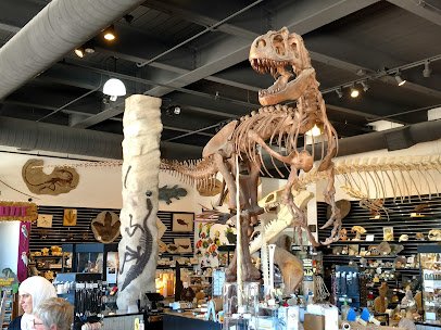 The Dinosaur Store photo 3