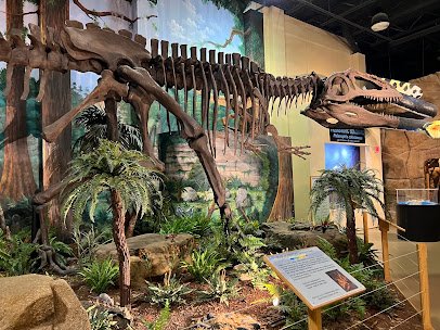 The Dinosaur Store photo 5