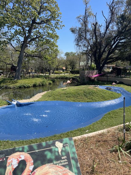 The Pavilion - Louisiana Purchase Gardens & Zoo photo 3