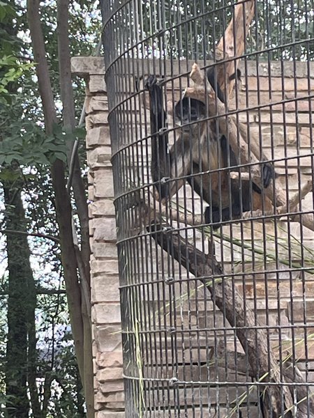 The Pavilion - Louisiana Purchase Gardens & Zoo photo 6
