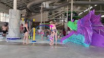 Mt. Olympus - Indoor Water Park photo 2