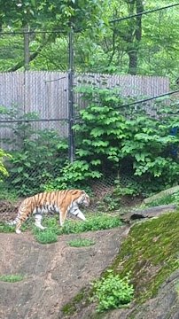 Pittsburgh Zoo photo 2