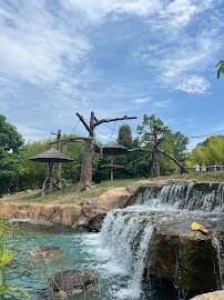 Pittsburgh Zoo photo 3