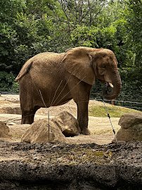 Pittsburgh Zoo photo 4