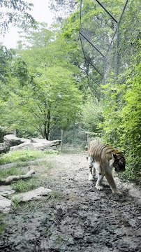 Pittsburgh Zoo photo 5