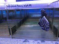 Rainbow Aquarium and Pond