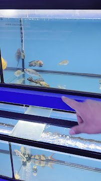 Rainbow Aquarium and Pond photo 2