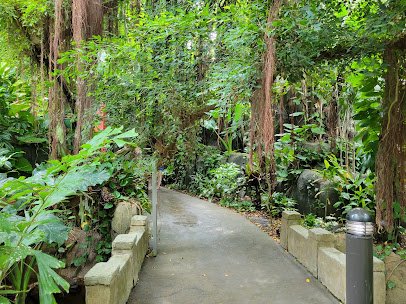 Rainforest Pyramid photo 3