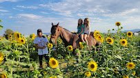 Nature Health Farms Petting Zoo, Airbnb, Alpaca Farm & Wedding Chapel in Pahrump