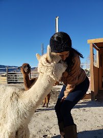 Nature Health Farms Petting Zoo, Airbnb, Alpaca Farm & Wedding Chapel in Pahrump photo 4
