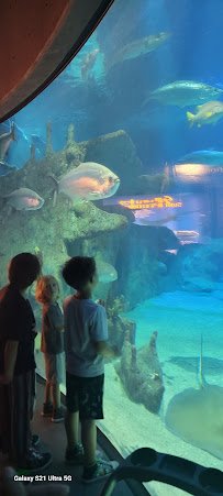 ABQ BioPark Aquarium photo 4