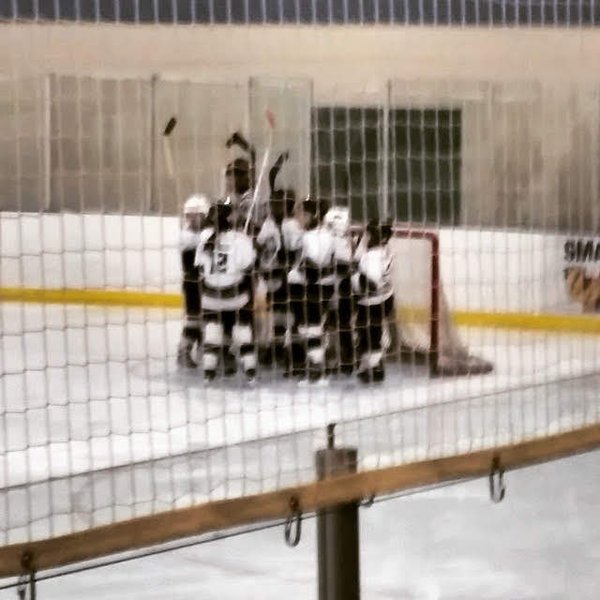 Ella Stern & Harry Stern Sports Arena photo 6