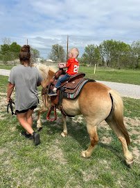 Mary Sue's Mobile Petting Zoo & Pony Rides