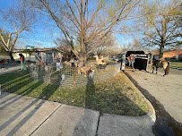 Mary Sue's Mobile Petting Zoo & Pony Rides photo 4