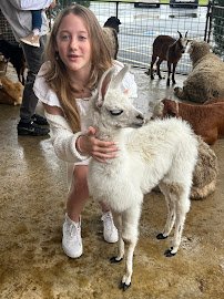 Mary Sue's Mobile Petting Zoo & Pony Rides photo 5