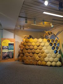 Arthropod Zoo photo 3