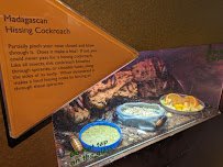 Arthropod Zoo photo 4