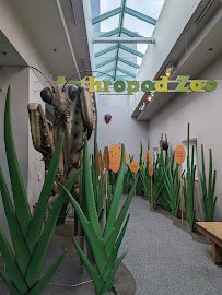 Arthropod Zoo photo 5