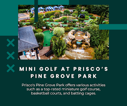 Mini Golf at Prisco’s Pine Grove Park photo 4