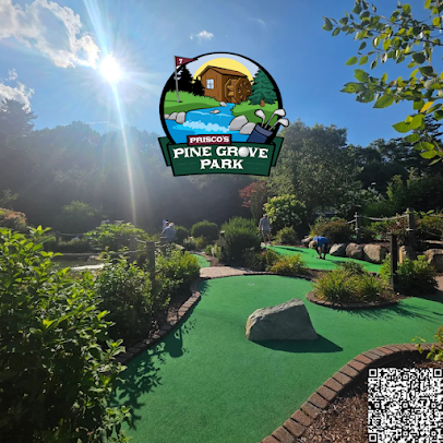 Mini Golf at Prisco’s Pine Grove Park photo 5