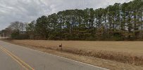 Wild South Exotics