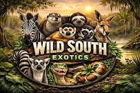 Wild South Exotics photo 6