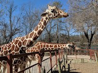 Mesker Park Zoo photo 3