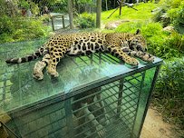 Mesker Park Zoo photo 4